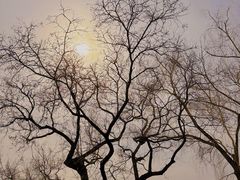 -东华门大街小区