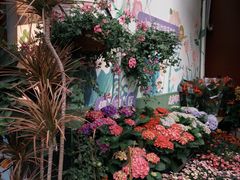 -溪岸路花鸟市场