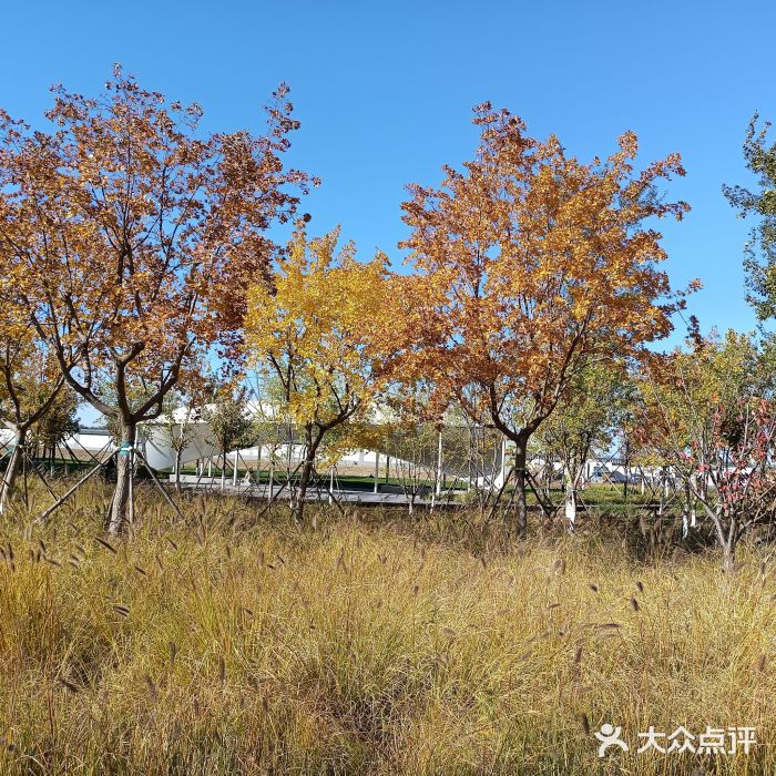 坝河休闲公园图片