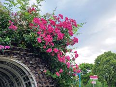 -西山漾湿地公园