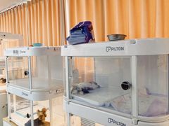 -翊宠yipet猫狗购宠庄园犬舍•猫舍