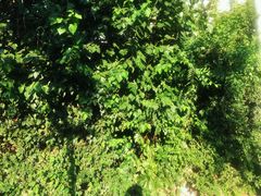 入口-斯多格书乡(北京大学畅春园店)