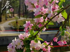 -元大都城垣遗址公园