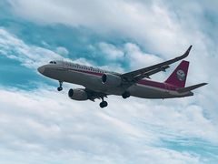-空港花田景区