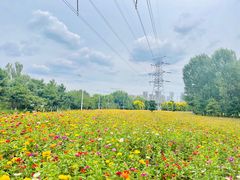 -长白岛森林公园