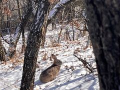 -帽儿山国家森林公园