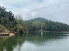 -四明山国家森林公园