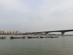 -洋湖国家湿地公园