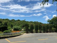 -三亚亚龙湾雅高美爵酒店