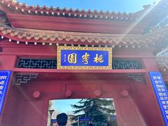 -桃花堤公园