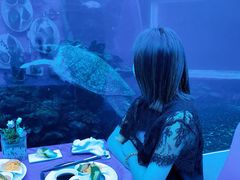 -海棠湾洲际-涛·海底餐厅·美人鱼·自助餐·海底隧道