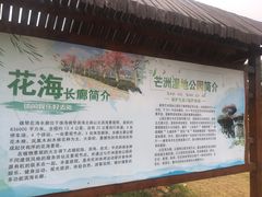 -芒洲湿地公园