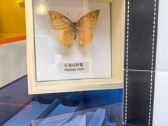 -欧邑咖啡小站 HLab Coffee