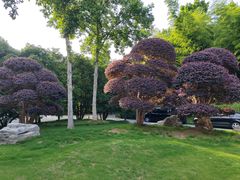 -南京东郊国宾馆