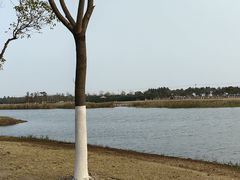 -春花秋色城市公园