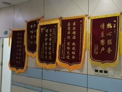 -中农国际动物医院24小时·猫科·骨科·急重症中心