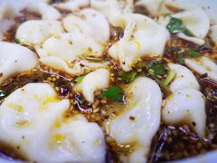 酸汤牛肉水饺-回坊马二饺子馆