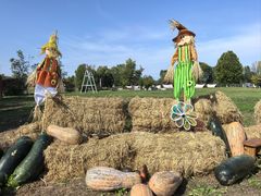 -圣露庄园·露营·烤肉·亲子