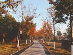 -自然谷恐龙园