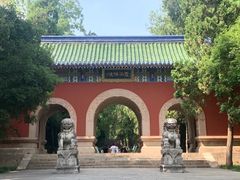 -灵谷景区
