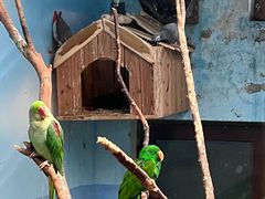 -济南野生动物世界