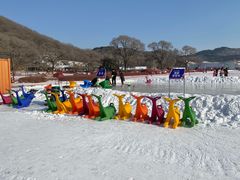 -东北亚滑雪场