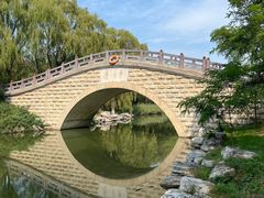 -大兴滨河森林公园