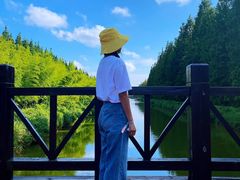 -黄海国家森林公园