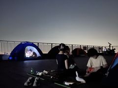-紫金山山顶公园