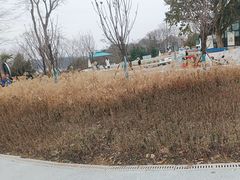 -仙海旅游度假区