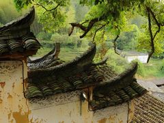 -杨家堂村