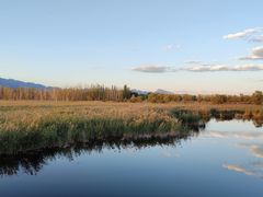 -野鸭湖国家湿地公园