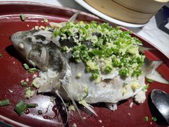-钟菜·粤菜点心·宴请(海上世界·汇港二期店)