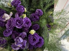 -今朝桃花醉川菜(县西巷店)