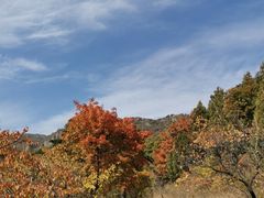 -妙峰山风景名胜区