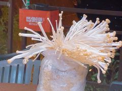 -巴倒烫陆派火锅山庄(南山总店)