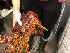 -悉尼鱼市场