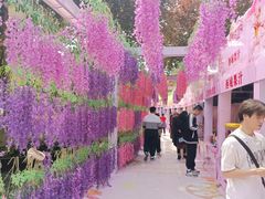 -西安青龙寺遗址景区