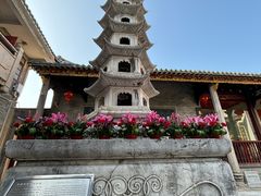-华林禅寺