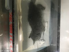 -瑞派旺宝宠物医院·犬猫全科综合·尿道专科(莲兴院)