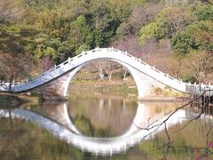 -田野绿世界