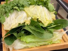 -蝎王府羊蝎子(朝阳北路店)