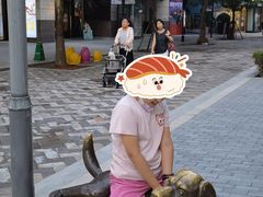 -中粮·祥云小镇