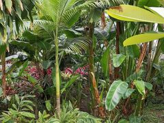 -北京植物园-展览温室