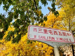 -三里屯东五街银杏大道