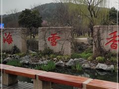 -香雪海