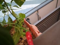 -阿嫂印象·民间江湖菜(大学城店)