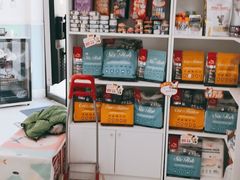 -纳吉亚猫专科动物医院·北北分院