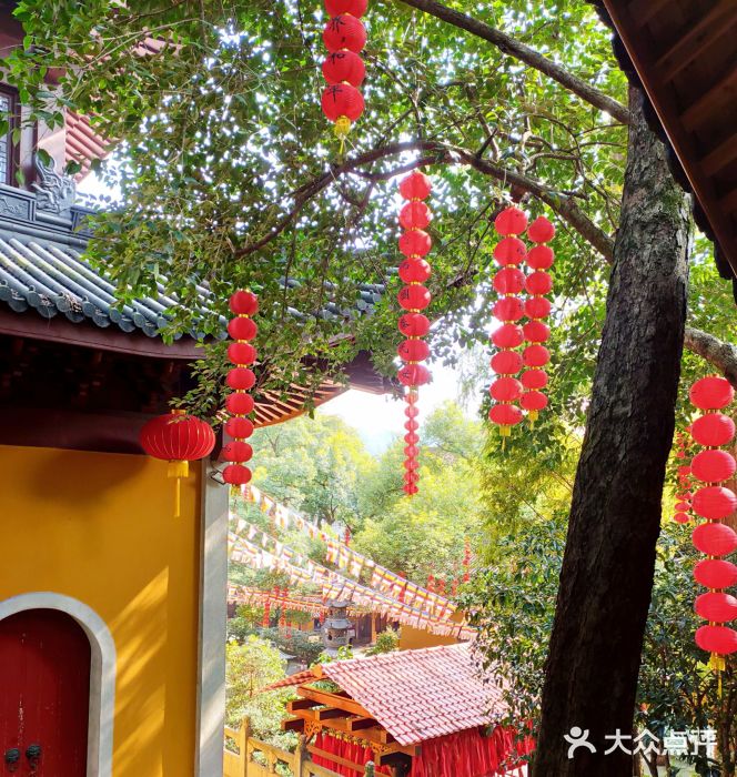 杭州上天竺法喜讲寺景点图片