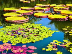 -国家植物园南园